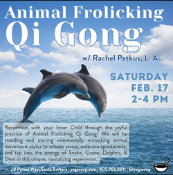 Animal Frolicking Qi Gong