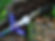 Decayed Master Sword *Versão Especial*