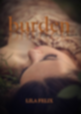 burden by lila felix a bayou bear chronicle