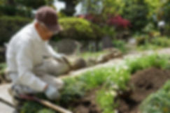 AdobeStock_178345587(1).jpeg