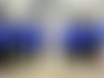  Cecon recebe homenagem da Polícia de Nova York pelos 24 anos de Educação através do esporte