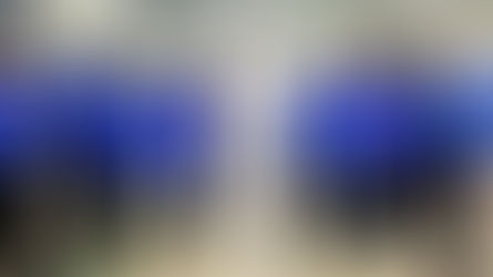  Cecon recebe homenagem da Polícia de Nova York pelos 24 anos de Educação através do esporte