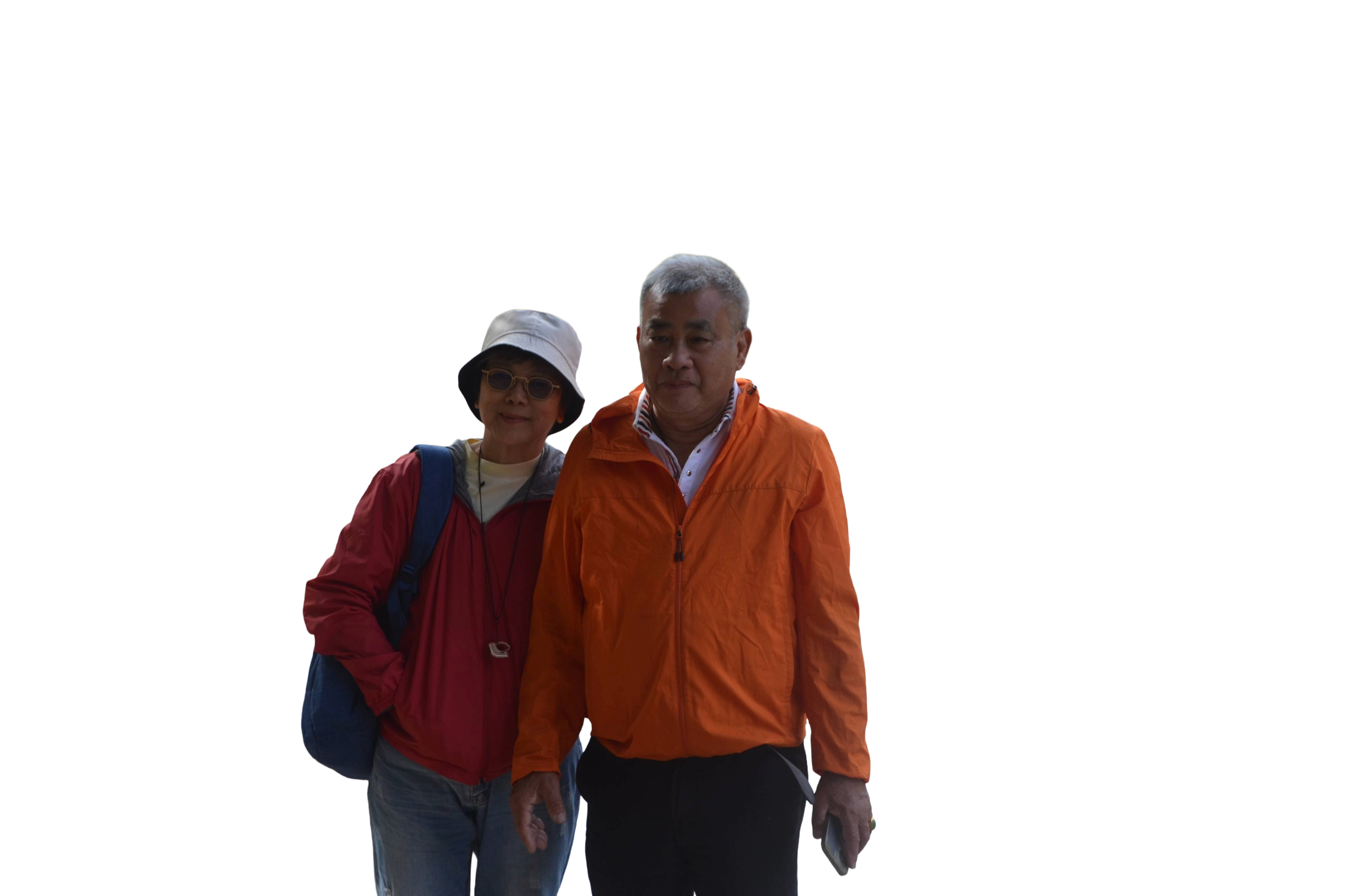 An image showing the user input