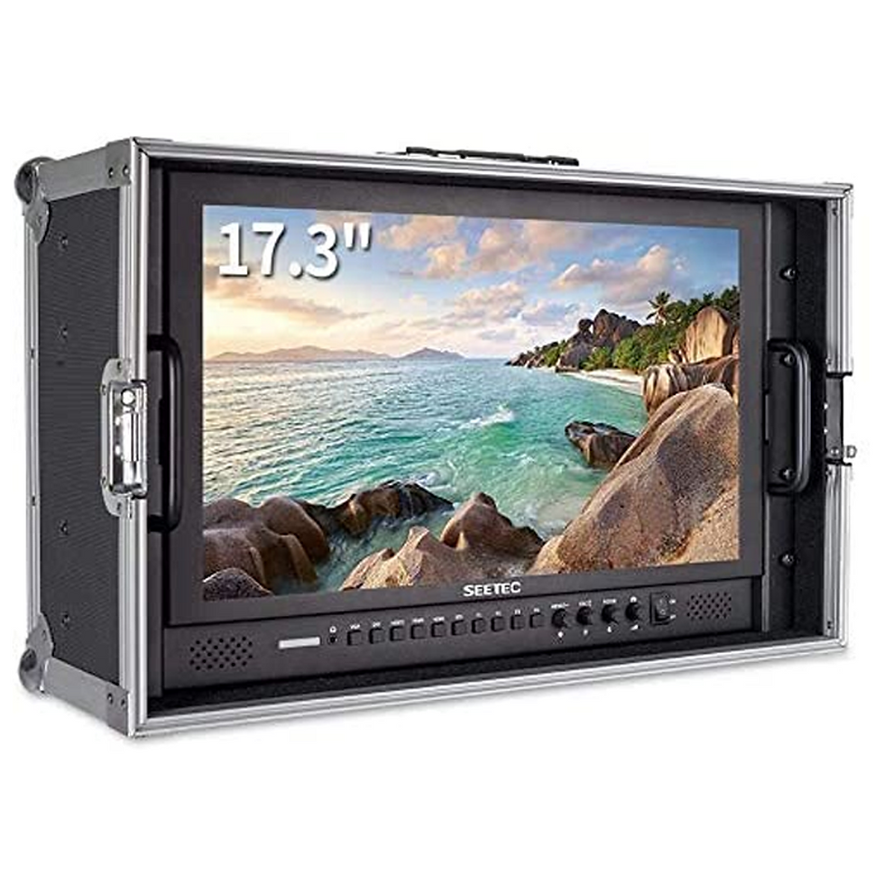 Moniteur Seetec  P173-9HSD-CO