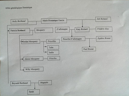 Arbre généalogique Domonique.jpg