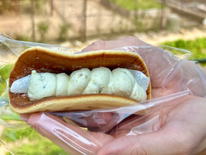 《ふくれっと》デビュー