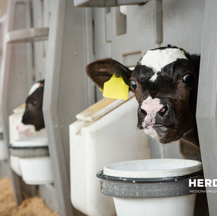 01. Productive veterinary Medicine and Its Economic Impact
