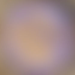 מעדן חלבון ביתי