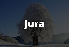 food-truck-jura.jpg