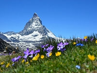 stand-food-truck-granita-evenement-valais