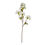 Thumbnail: Tall white blossom stem 