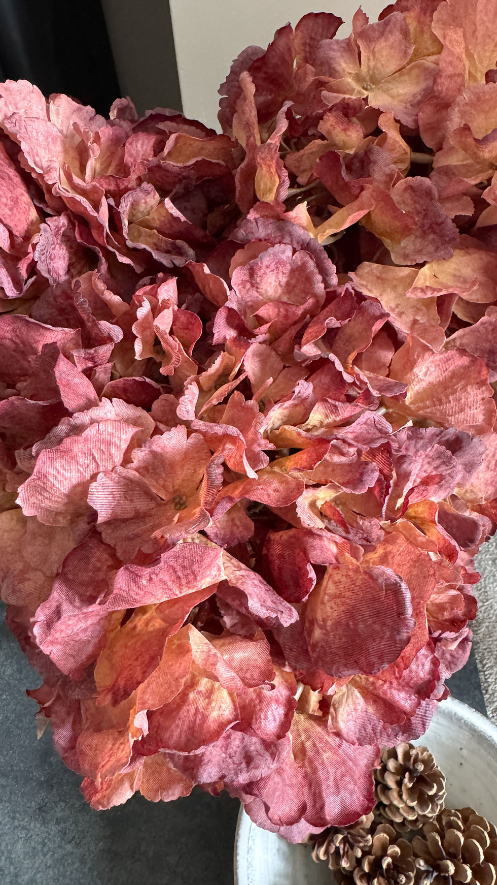 Thumbnail: Autumnal Hydrangea stem 