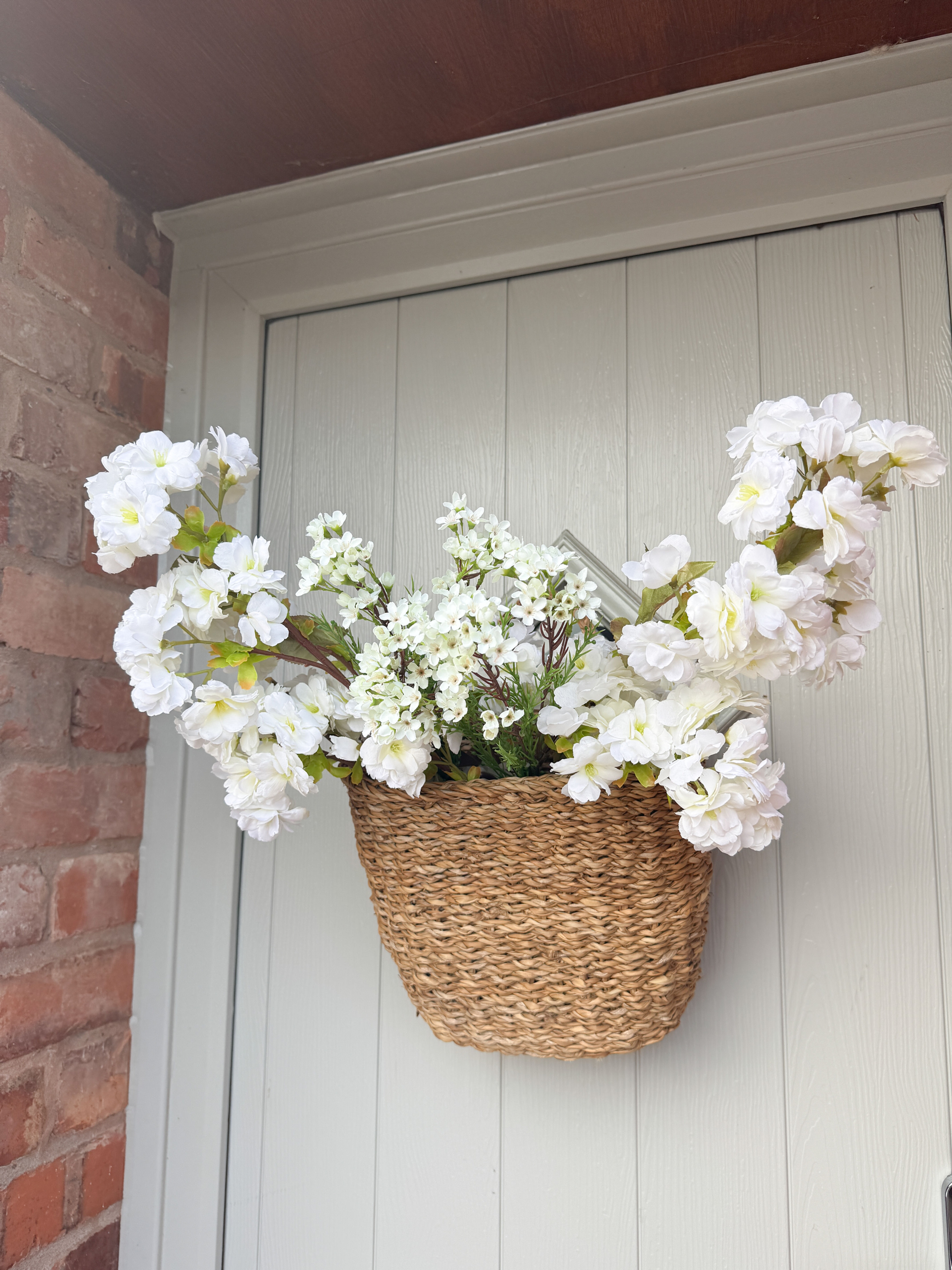White waxflower stem 