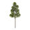 Thumbnail: Frosted pine stem 