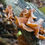 Thumbnail: Wood Ear