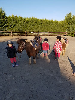 cours-des-petits-haras-de-la-croix-1.jpg