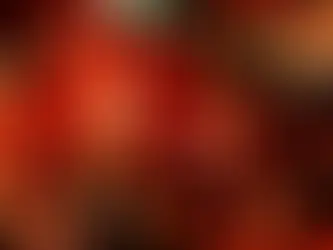 Gong Xi Fa Cai! Happy Chinese New Year!