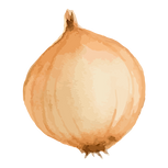 Oignon