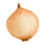 玉ねぎ