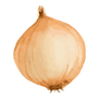 Onion