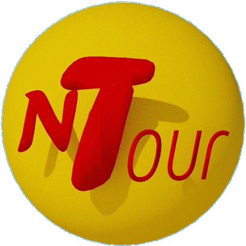 Logotipo 2020 Bola 500 Tr.gif