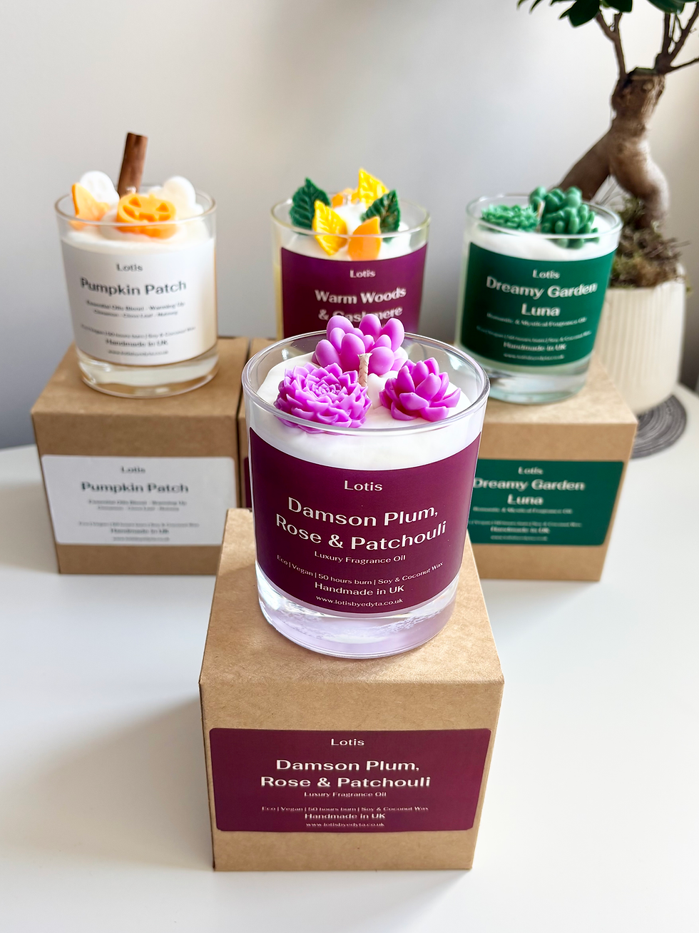 Thumbnail: Damson Plum & Patchouli