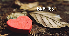 בדיקה פרטית B-Type Natriuretic Peptide (BNP) 