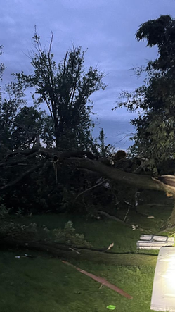 storm damage south dakota
