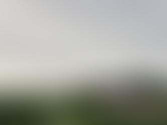 Powerlines and Tree Damage in Kingsbury/Brookings Counties