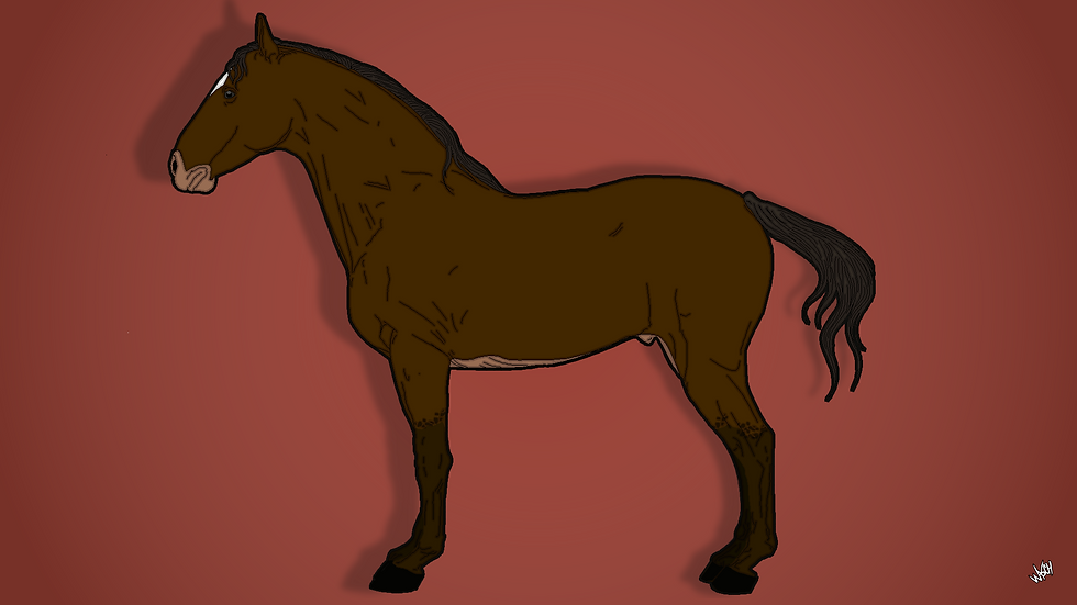 Horse Anatomy Pele