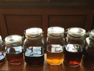 Herbal tinctures - natural wellbeing