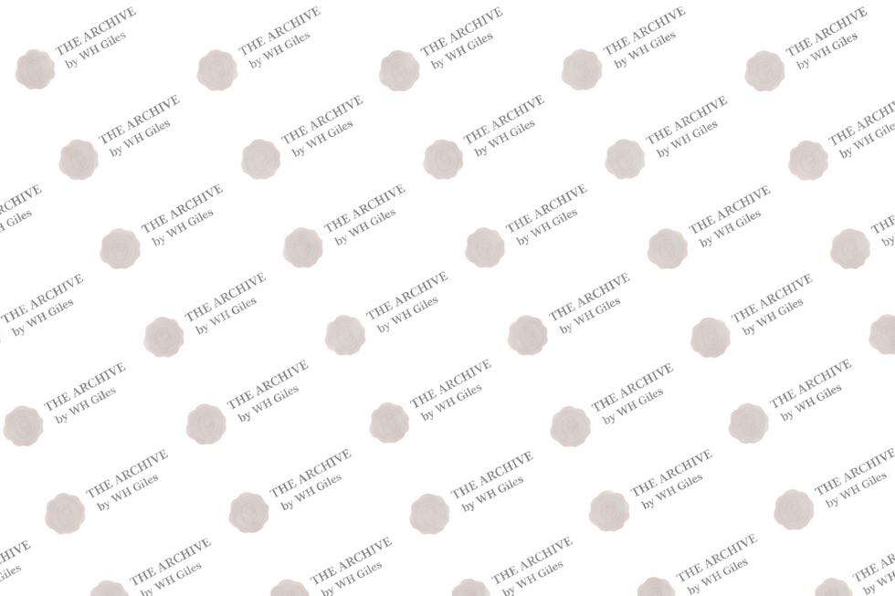 Watermark Archive 3.png