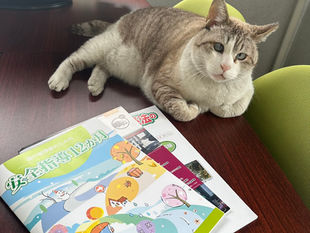 グッドラーニング導入しました