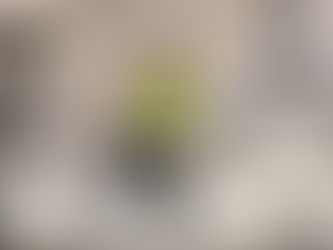 Friday Night Gymnastics Drop-in Starts April 14!