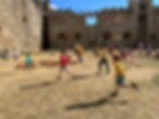 Castle Siege