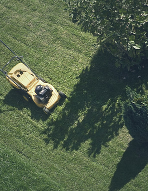 Trimming the Grass