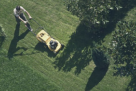 Trimming the Grass