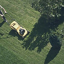 Turf & grass cultivated with natural and chemical-free biochar