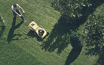Trimming the Grass