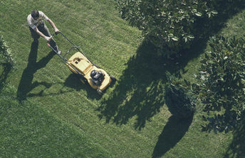 Tondeuse autoportée en action sur pelouse dans une propriété paysagère.