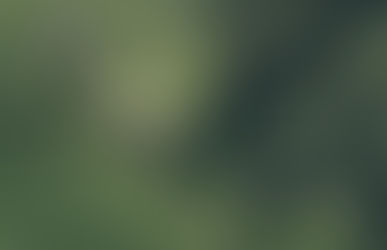 Unveiling Cleveland Premier Liquidators: Your Go-To for Top-Notch Landscaping Solutions