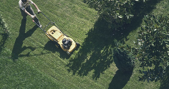 Trimming the Grass