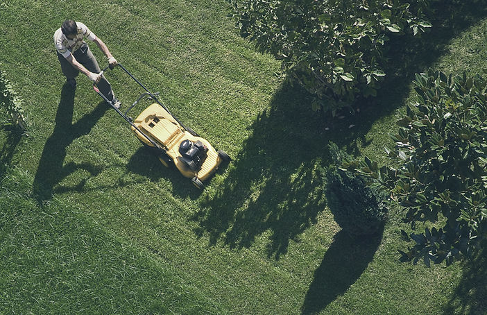 Lawn Mowing Scene