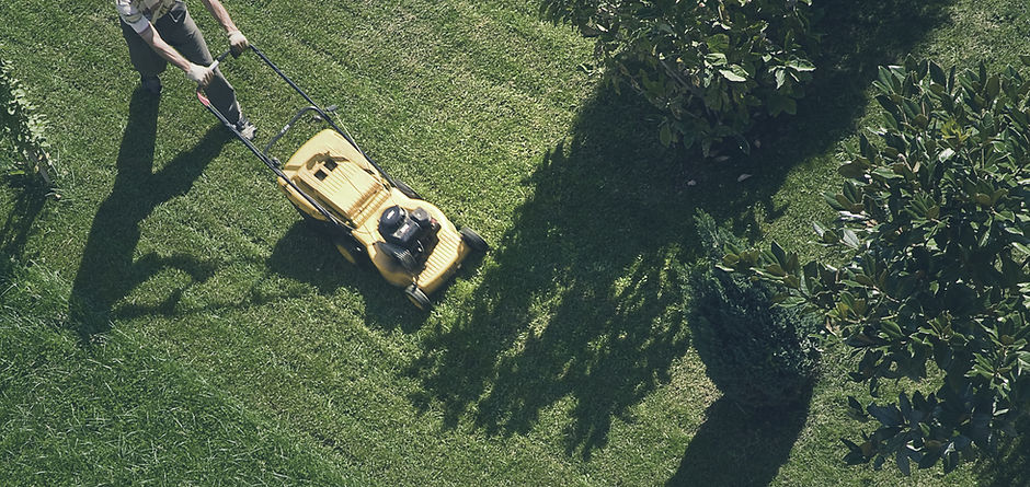 Trimming the Grass