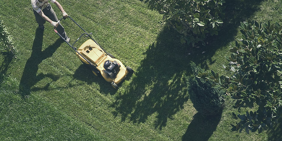 Trimming the Grass