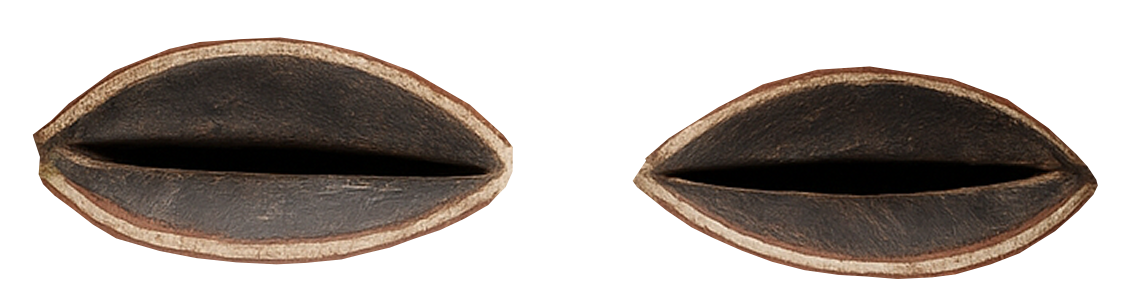 Kifwebe Mask eyes