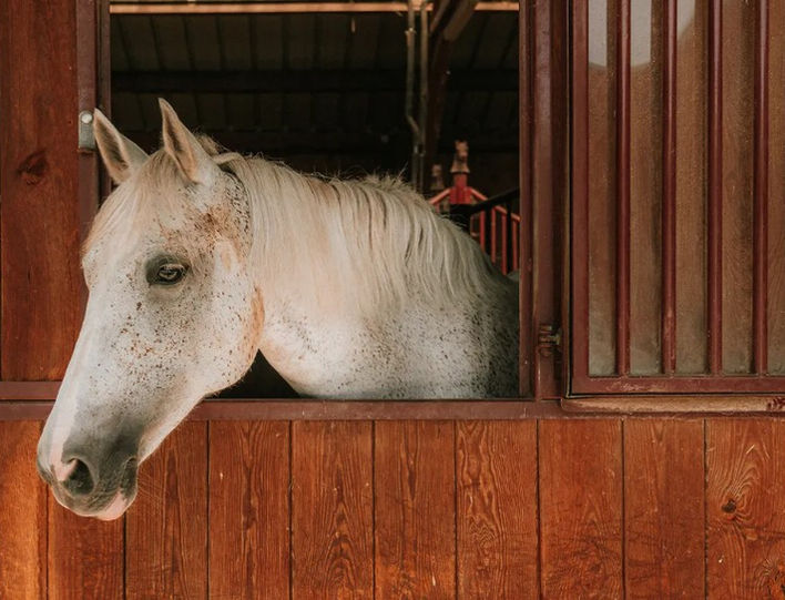 Club Med Art Deco Resort in France