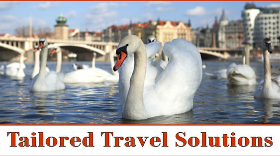 Tailored Travel Solutions.jpg