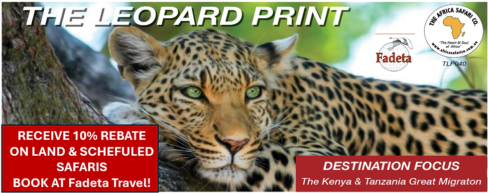 Destination on focus - AFRICAN SAFARIS