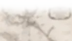 carte.webp